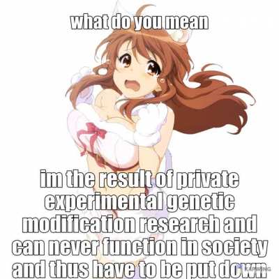 hi I made a meme