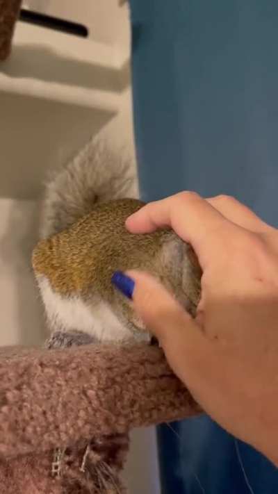 Theo&rsquo;s pre-nap routine