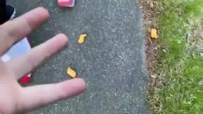 Rip nuggets