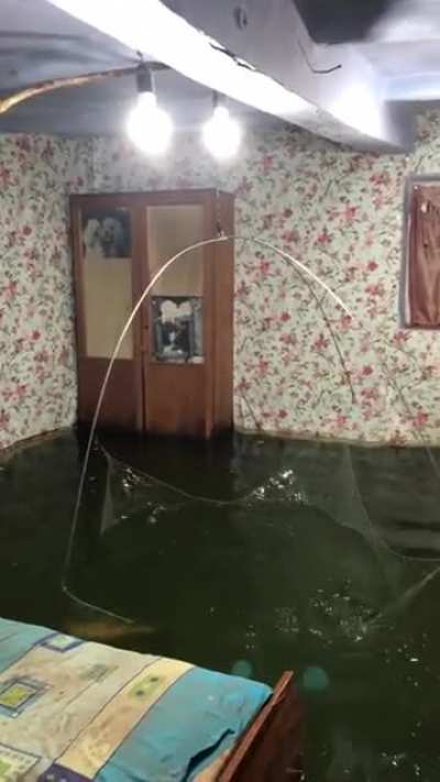 Hmmm