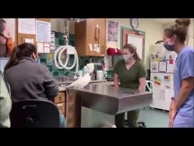 Vets celebrating recovery with funky patient