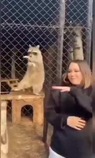 Maybe maybe maybe