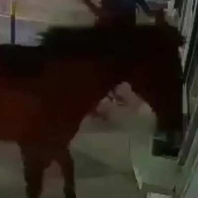 Opa n&eacute;