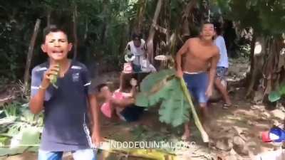 One Direction en Latinoam&eacute;rica