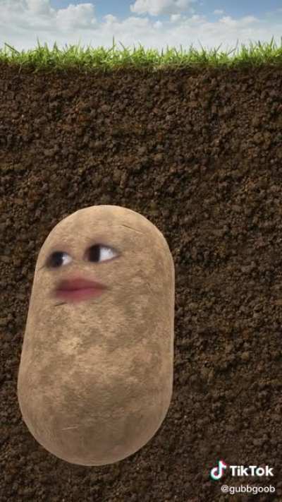 the best (and only) potato acting i&rsquo;ve seen