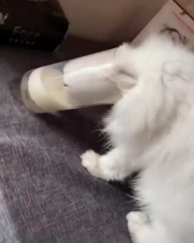 Brain on overdrive