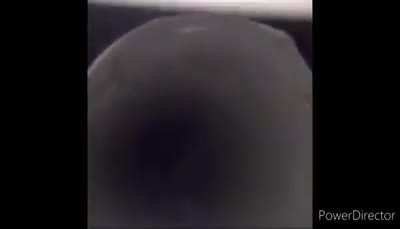 Passarinho