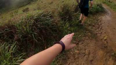 Took me a month to convince my wife to get a GoPro. Took me an hour of hiking to convince her to wear it. Took her 30 seconds to capture this gem.