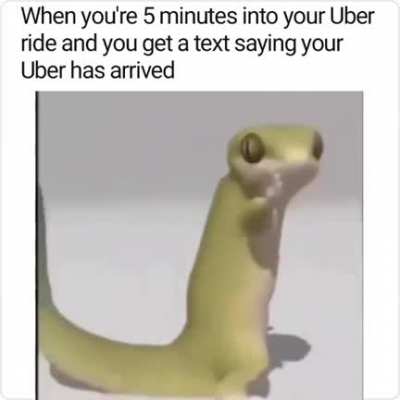 Yo what the fu