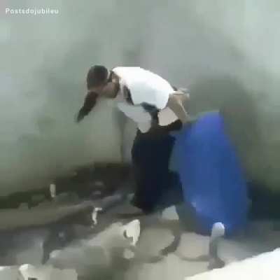 Tadin