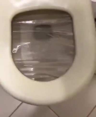 Teleshit