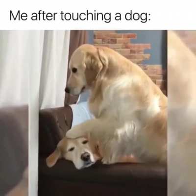 me_irl