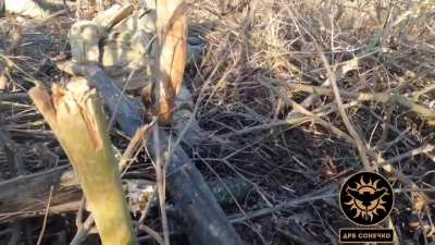 Ukrainian "Sonechko special unit" assaults Russian positions by Kamianske, likely from May 2023