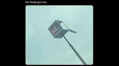 He finally got out.