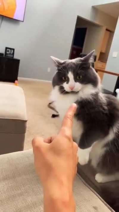 That is rude! STOP!