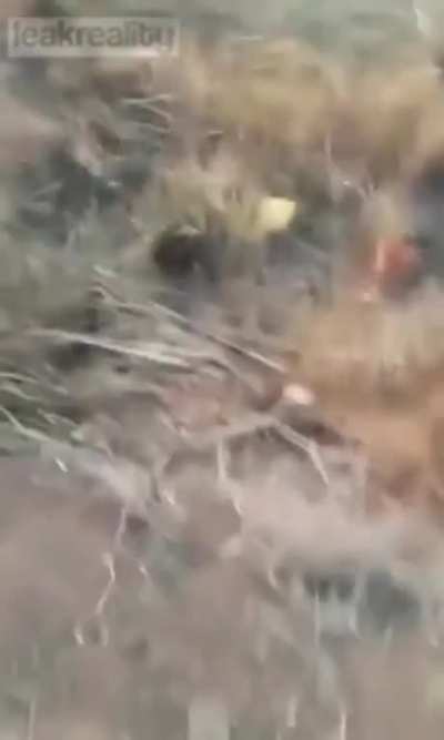 fire4