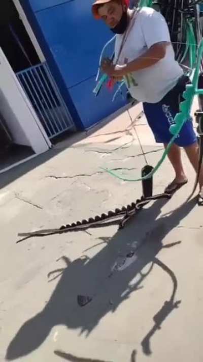 weird looking pet you got there sir