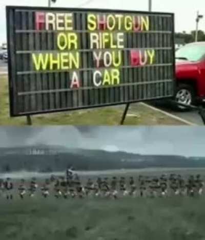 Murica