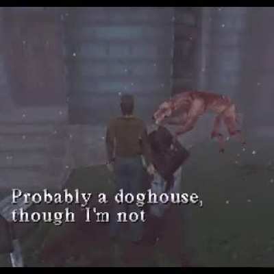Moldy Dog