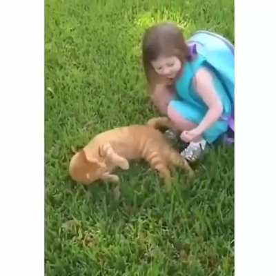 HMJB while I pet this cat.