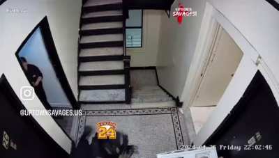 NYPD Highlights 💀 nah he tossed shorty down the stairs 💀 she was telling her partner &ldquo;wait wait&rdquo; in Spanish 😂