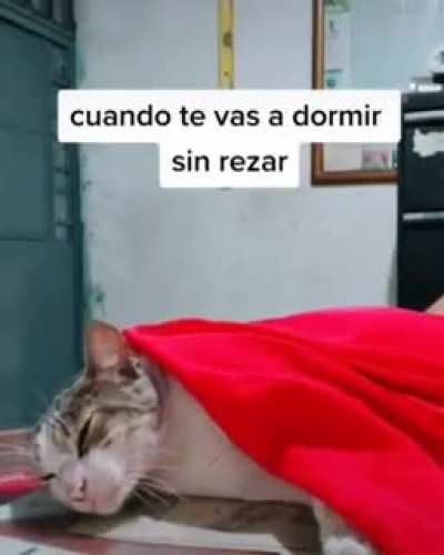 Turbio