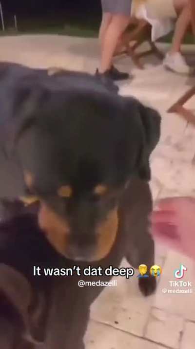 Dawg