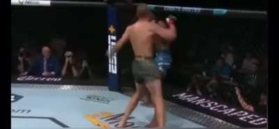 My brother made this UFC highlight with FH SFX and I can&rsquo;t stop laughing (wait til the end)
