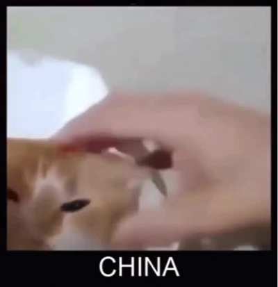 NOOOOO