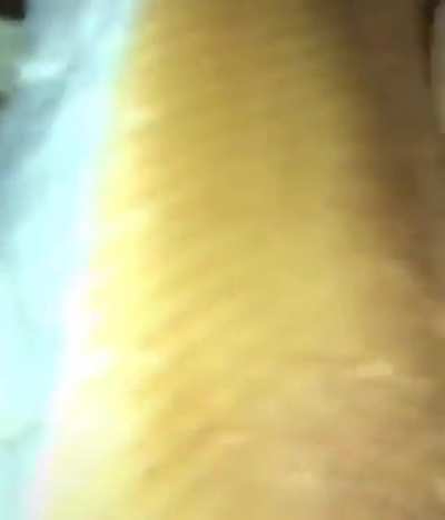 hhh)hHhHhHHHhhhhhhhH