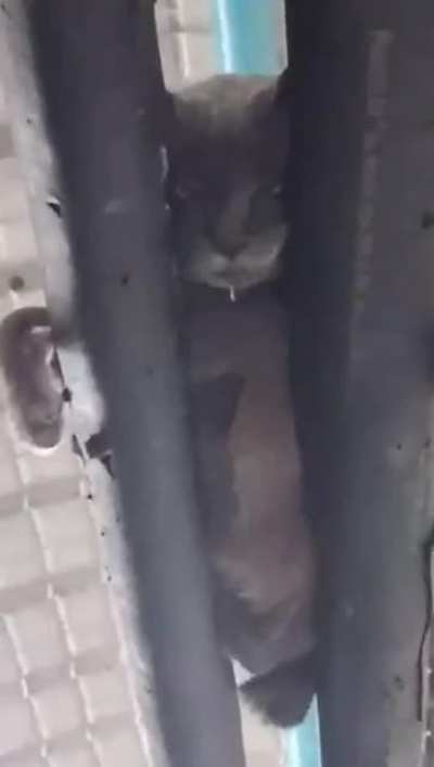 Sleeping on top of two pipes feels perfectly comfortable
