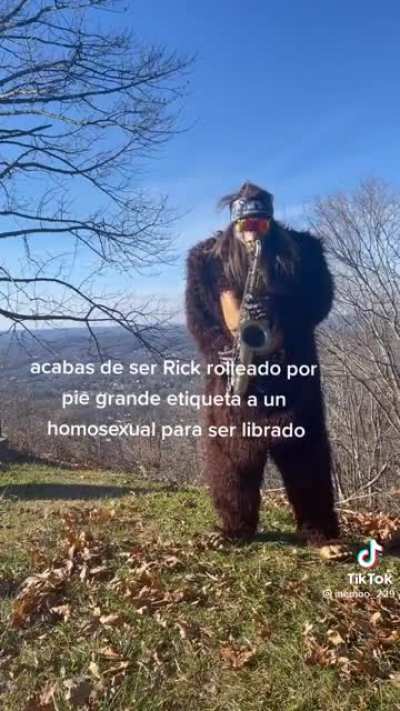 XD
