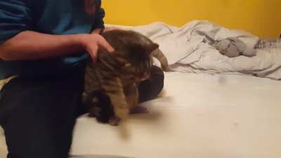 WEEE