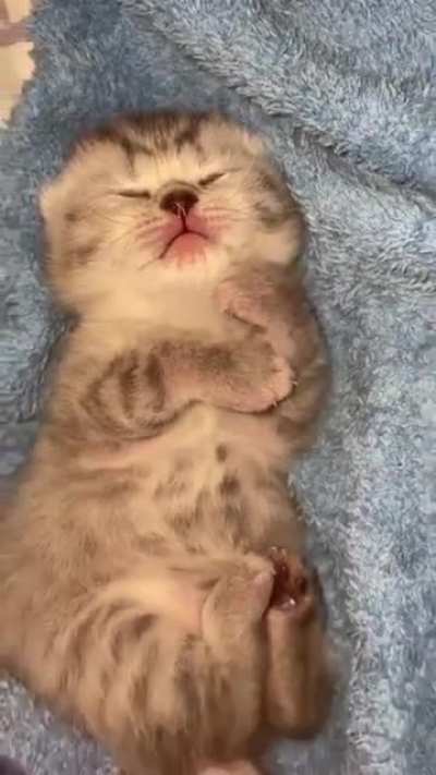 Немного милоты