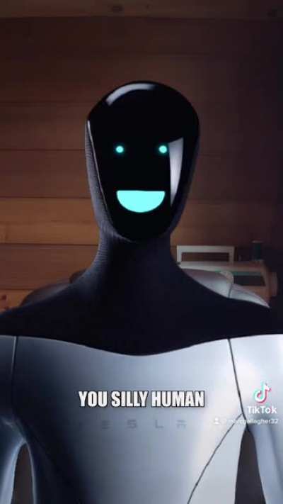 We all know this is what people will use the TeslaBot for!