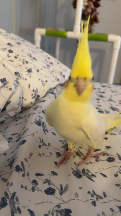 Feeling sad? Eggie&rsquo;s on his way!!