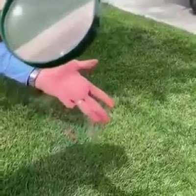 WTF Sun