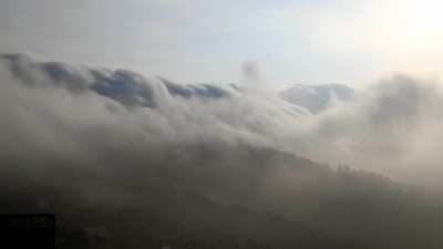 Shimla