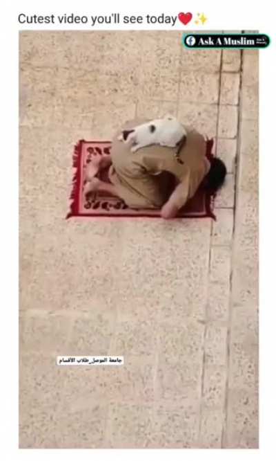 imam and his helper