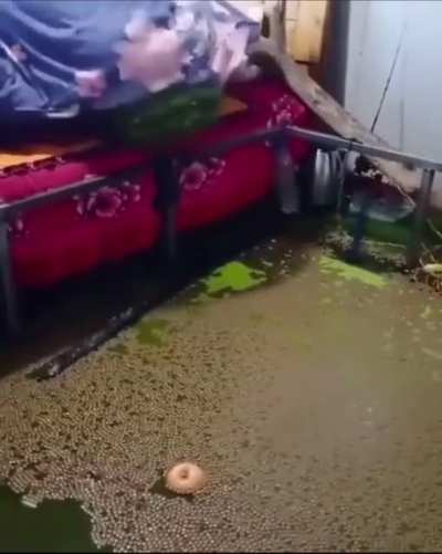 &ldquo;My room is a mess, I hope you don&rsquo;t mind&rdquo;