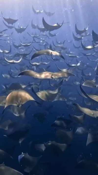 Baja California