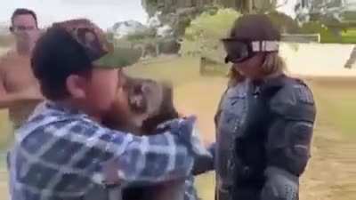 British Reporter encounters Drop Bear (Carnivorous Koala)