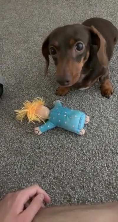 Just look, don&rsquo;t touch
