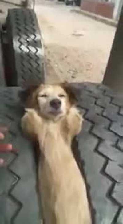 Let sleeping dogs lie