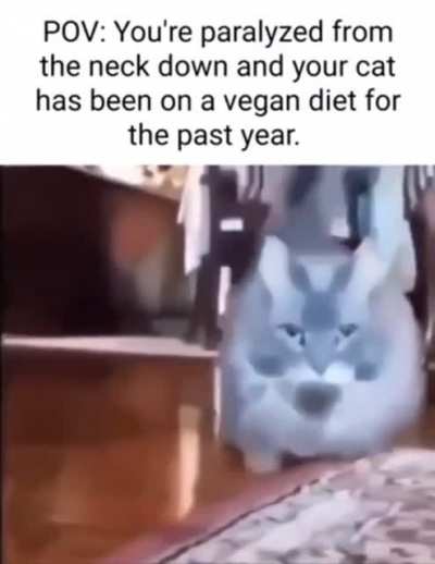 The vegan teacher death cutscene