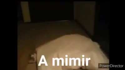 😎