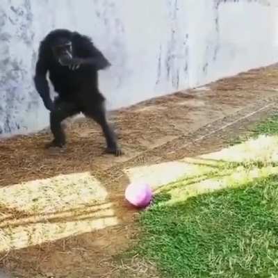 Maybe maybe maybe