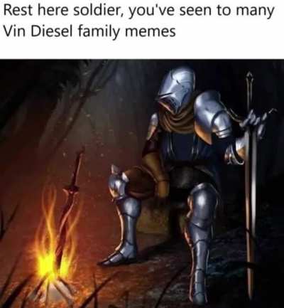 rest here soldier, you've seen too many vin diesel family memes