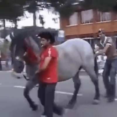 WCGW if i just mess with this horse real quick? 🏇