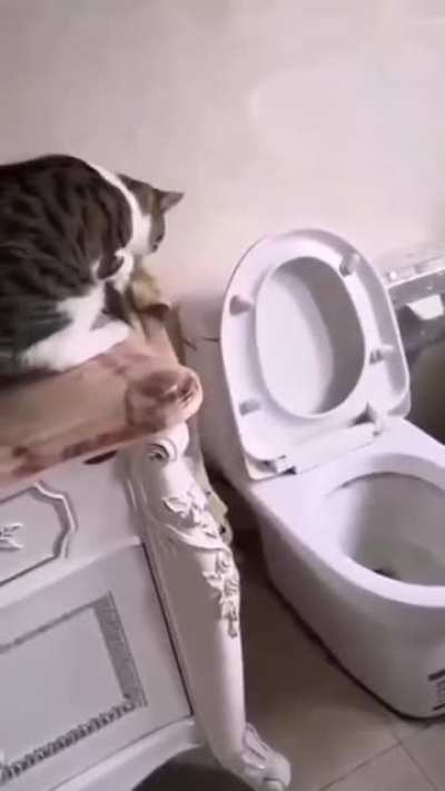 Крышку закрой
